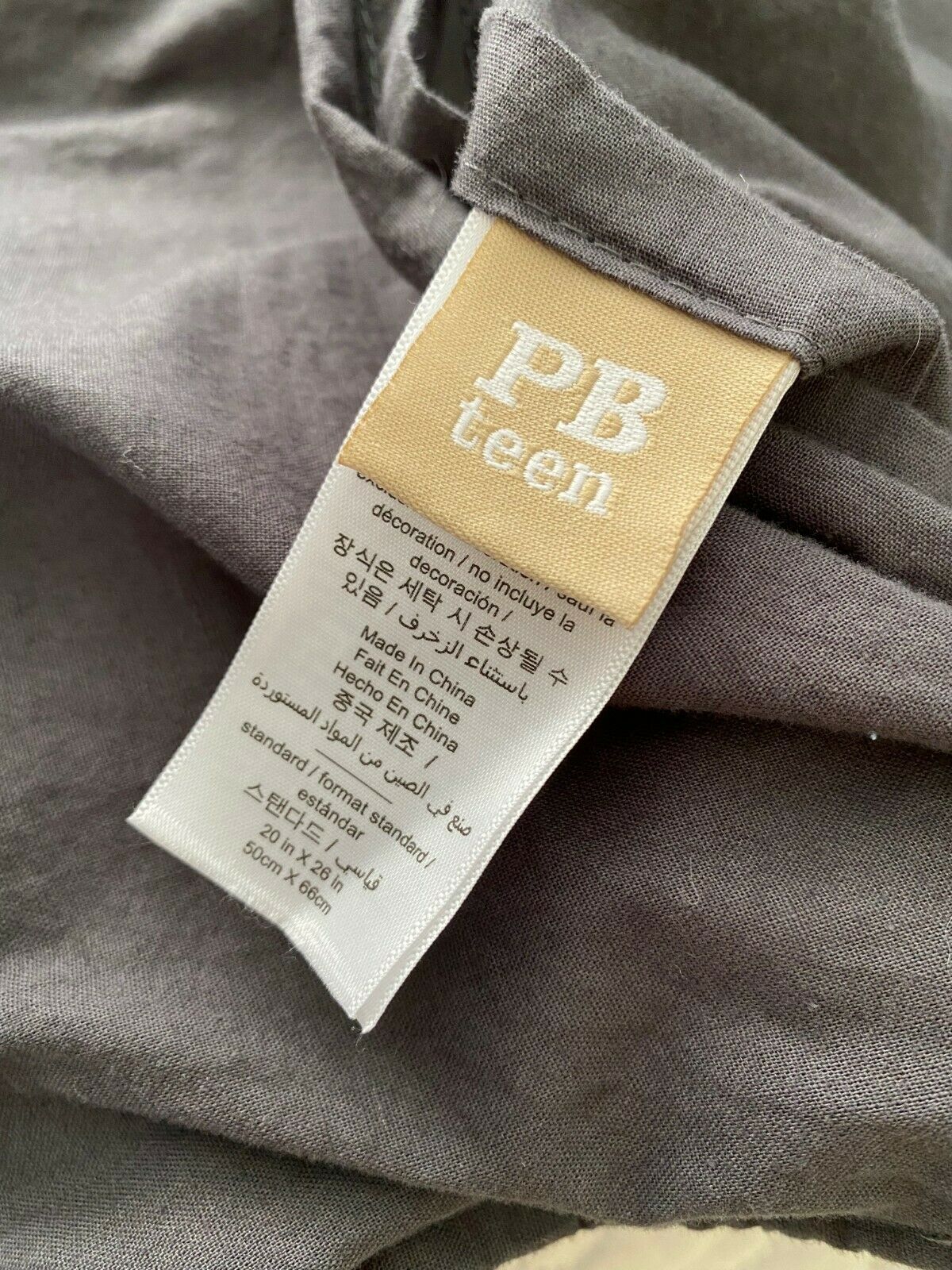 Pottery Barn PB Teen NFL Brights Sham STANDARD Football Logo - Fresh Stock Dated January 2026