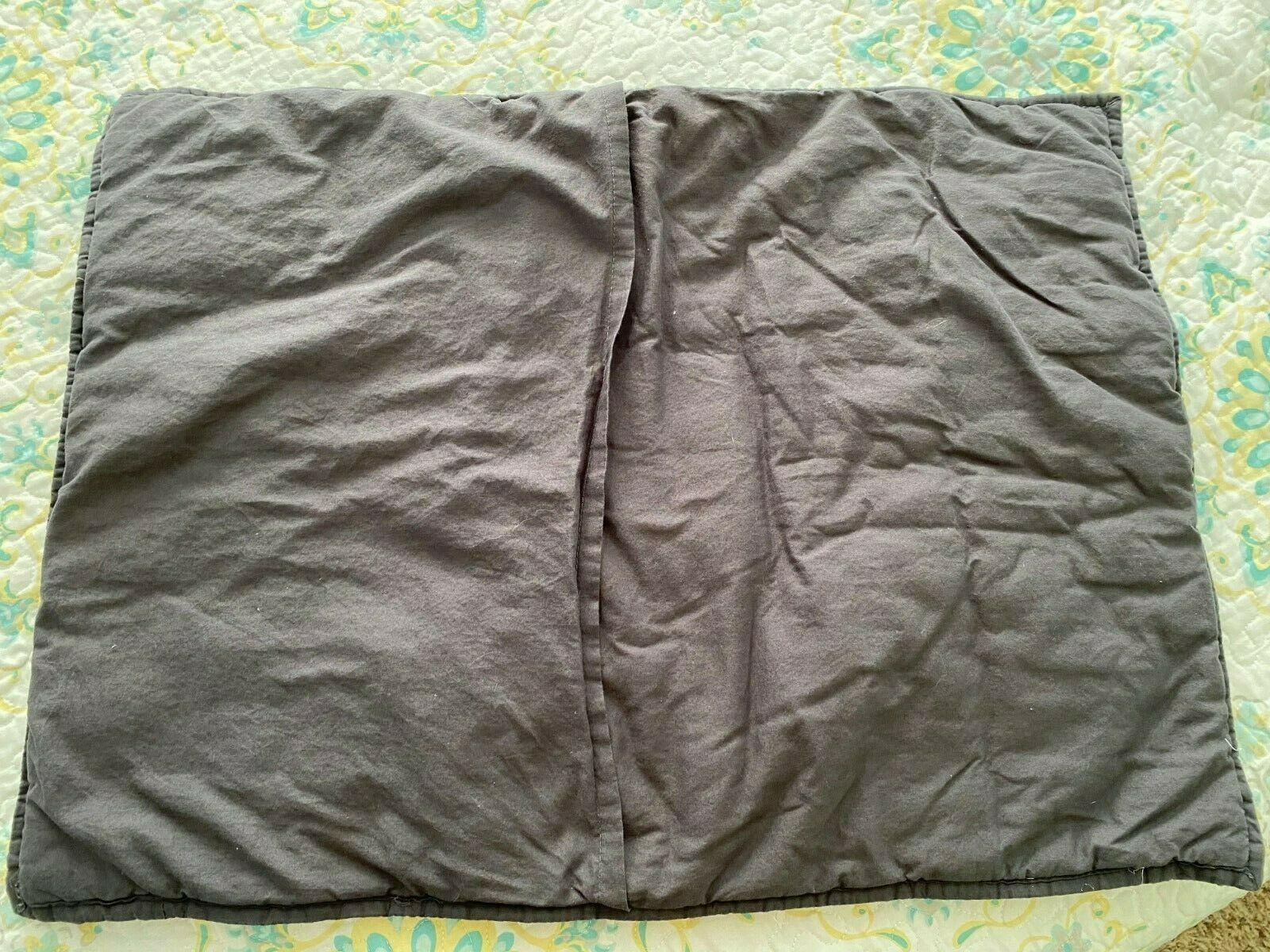 Pottery Barn PB Teen NFL Brights Sham STANDARD Football Logo - Fresh Stock Dated January 2026