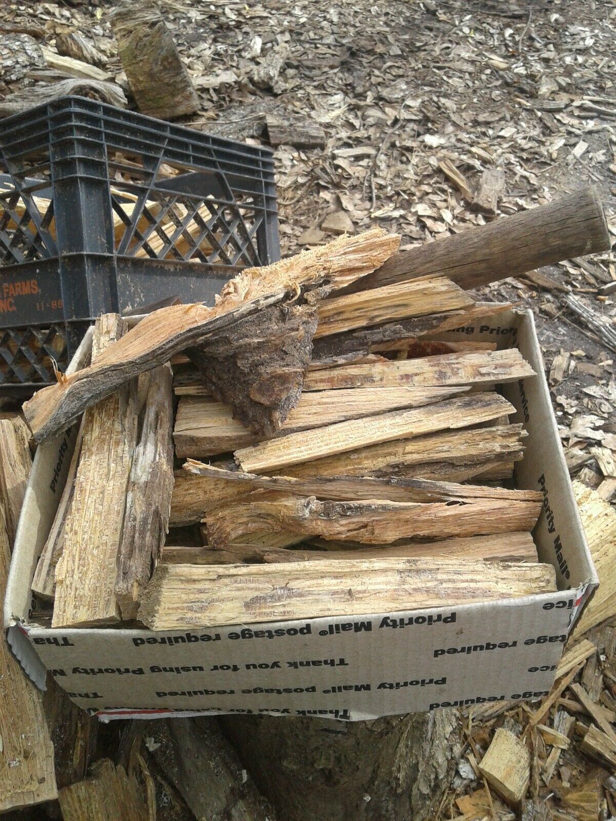 Fat Lighter Wood perfect for bug out bags, stashes, campers/RV, hiking, camping - Fresh Stock Dated December 2025