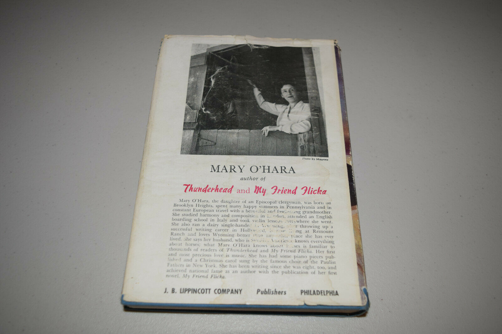 Thunderhead by Mary O'Hara Author of My Friend Flicka 1943 HBDJ 3rd Impression - Fresh Stock Dated December 2025