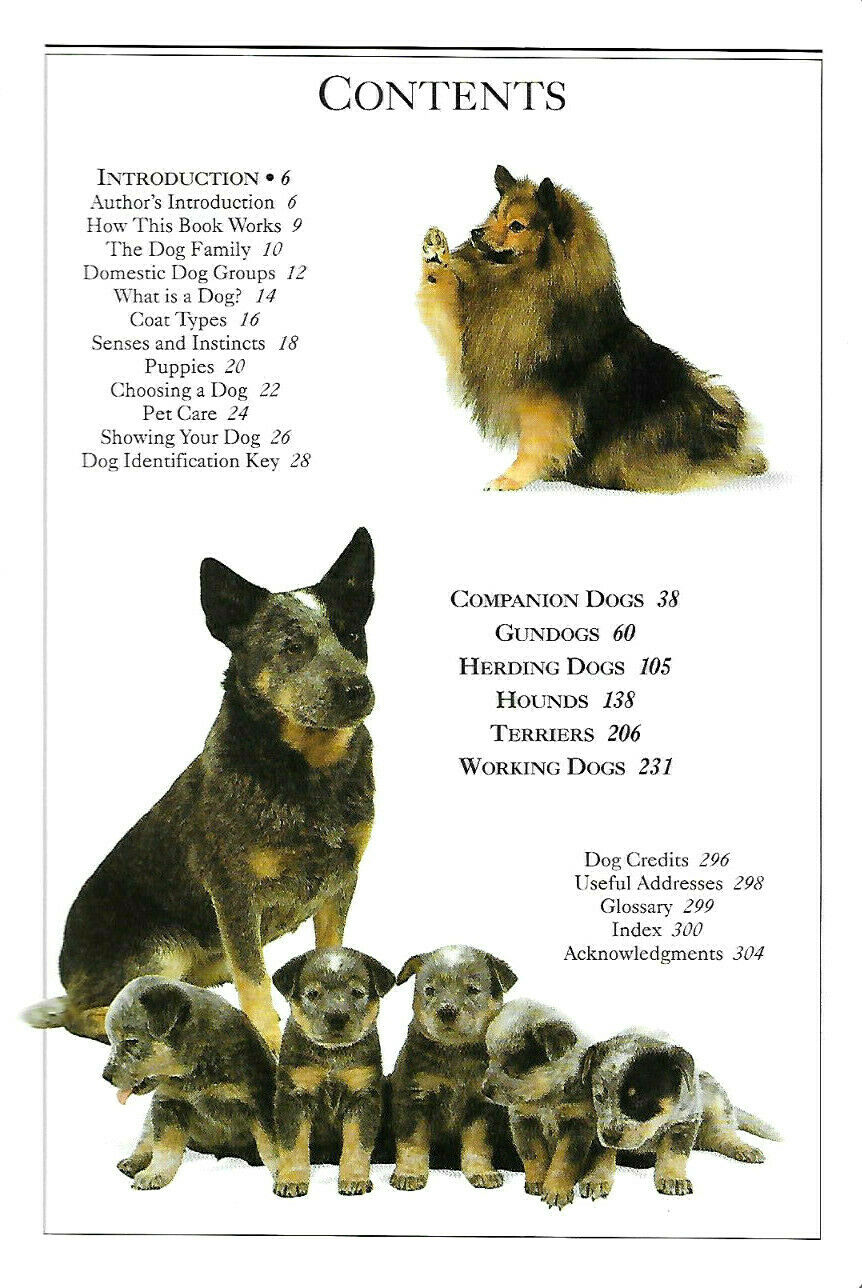 Smithsonian Handbooks Dogs by David Alderton 2009 edition clearest guide    ed. - Fresh Stock Dated December 2025