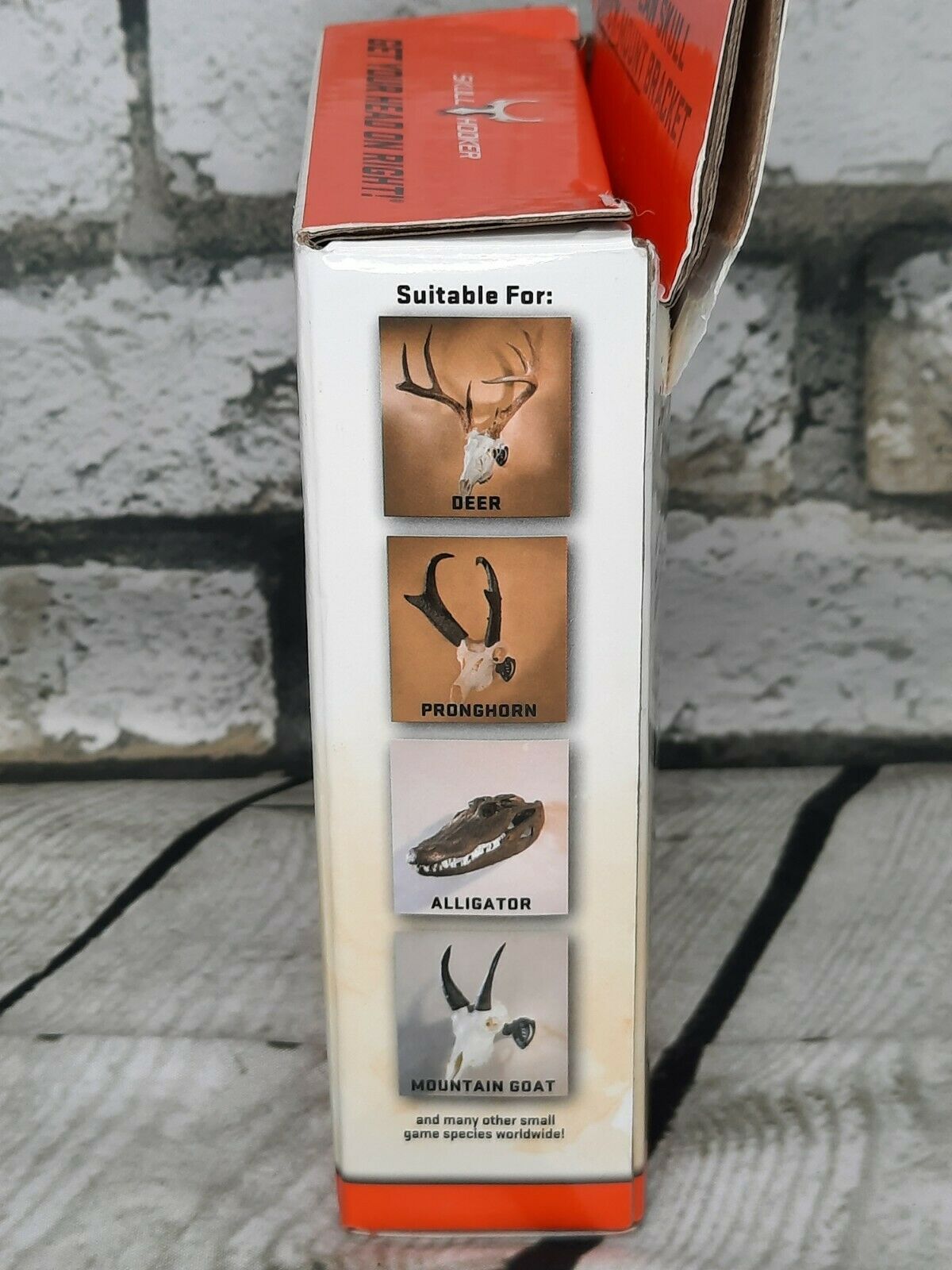 Skull Hooker Hanger Mini Hooker X Small Size Trophies Black - Fresh Stock Dated December 2025