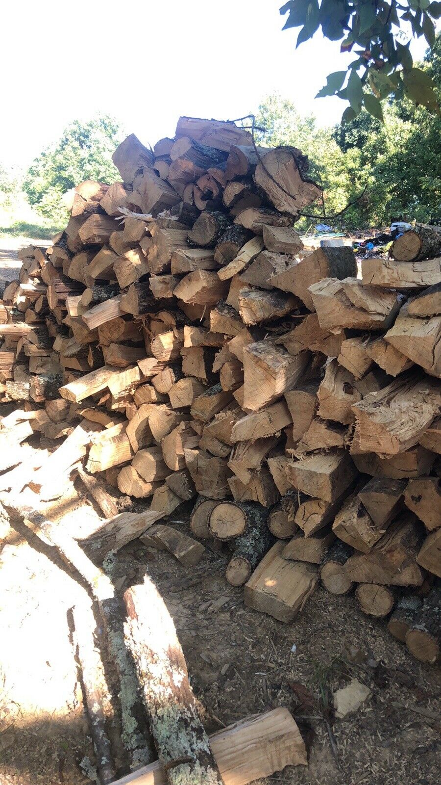 fire wood for sale - Fresh Stock Dated December 2025