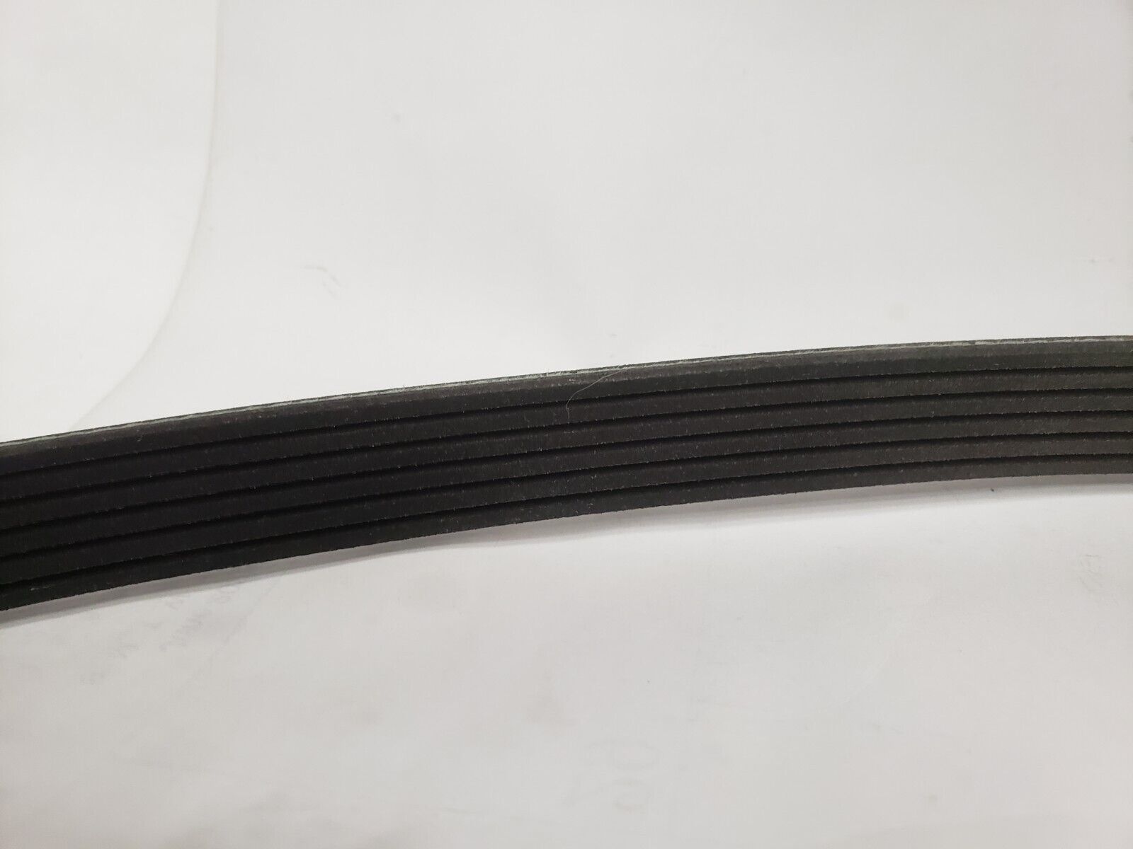 Genuine OEM Mercury Marine 8M0087881 Serpentine  Belt 4.5L MPI Alpha / Bravo - Fresh Stock Dated February 2026