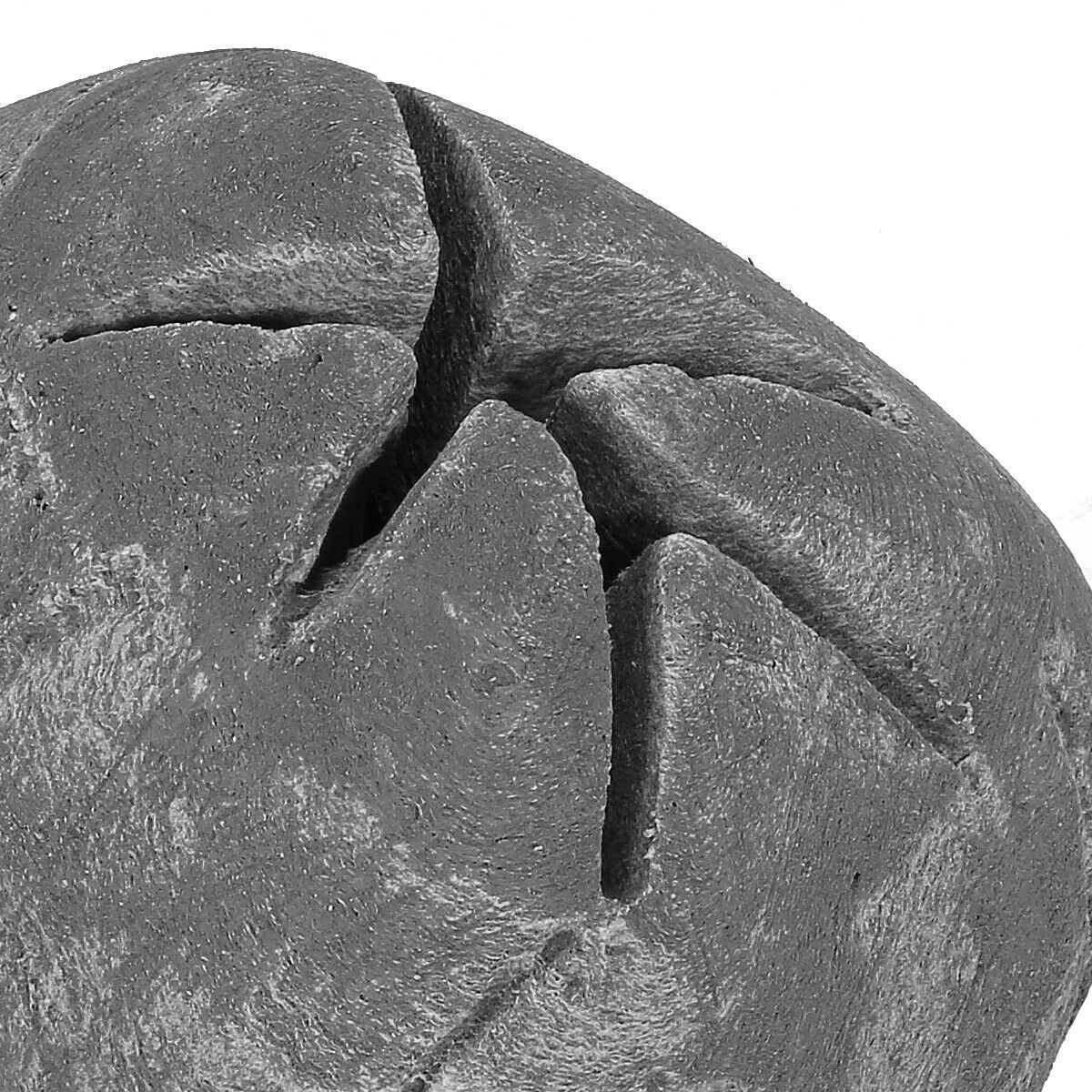 Flame Ceramic Propane Gel Ethanol Gas Fireplace Fire Pit Logs Grey Skull - Fresh Stock Dated December 2025