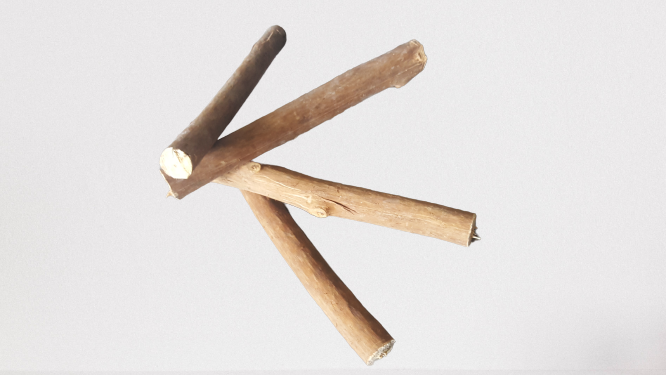 Cinnamon wood(four pieces) as firewood in chimneys camps and outdoors for fire - Fresh Stock Dated February 2026