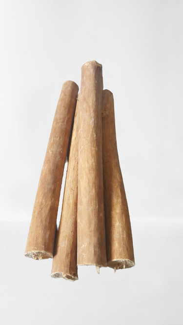 Cinnamon wood(four pieces) as firewood in chimneys camps and outdoors for fire - Fresh Stock Dated February 2026