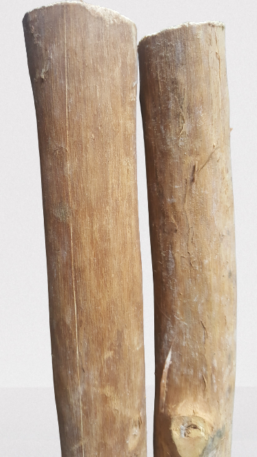 Cinnamon wood(four pieces) as firewood in chimneys camps and outdoors for fire - Fresh Stock Dated February 2026