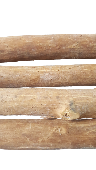 Cinnamon wood(four pieces) as firewood in chimneys camps and outdoors for fire - Fresh Stock Dated February 2026