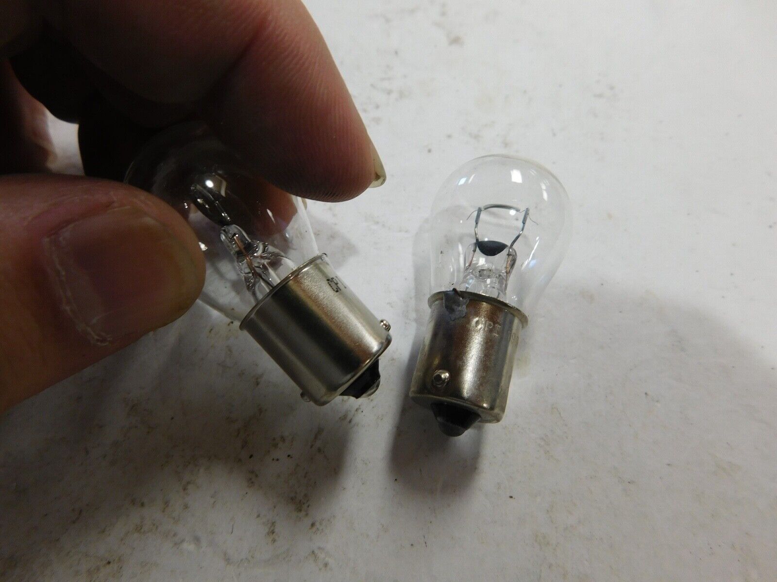 PAIR 1156 SINGLE FILAMENT BULB TURN SIGNAL HARLEY DAVIDSON CUSTOM CHOPPER 12V - Fresh Stock Dated February 2026