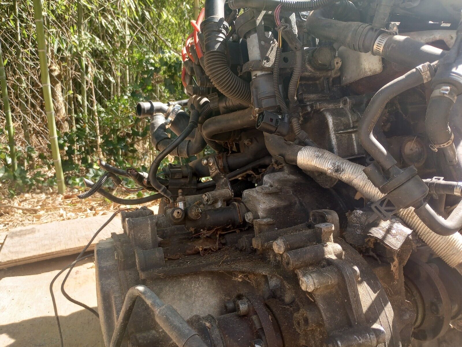 VR6 VW Manual Transmission 2.8L 6 Cylinder 5 Speed  99-05 JETTA - Fresh Stock Dated February 2026