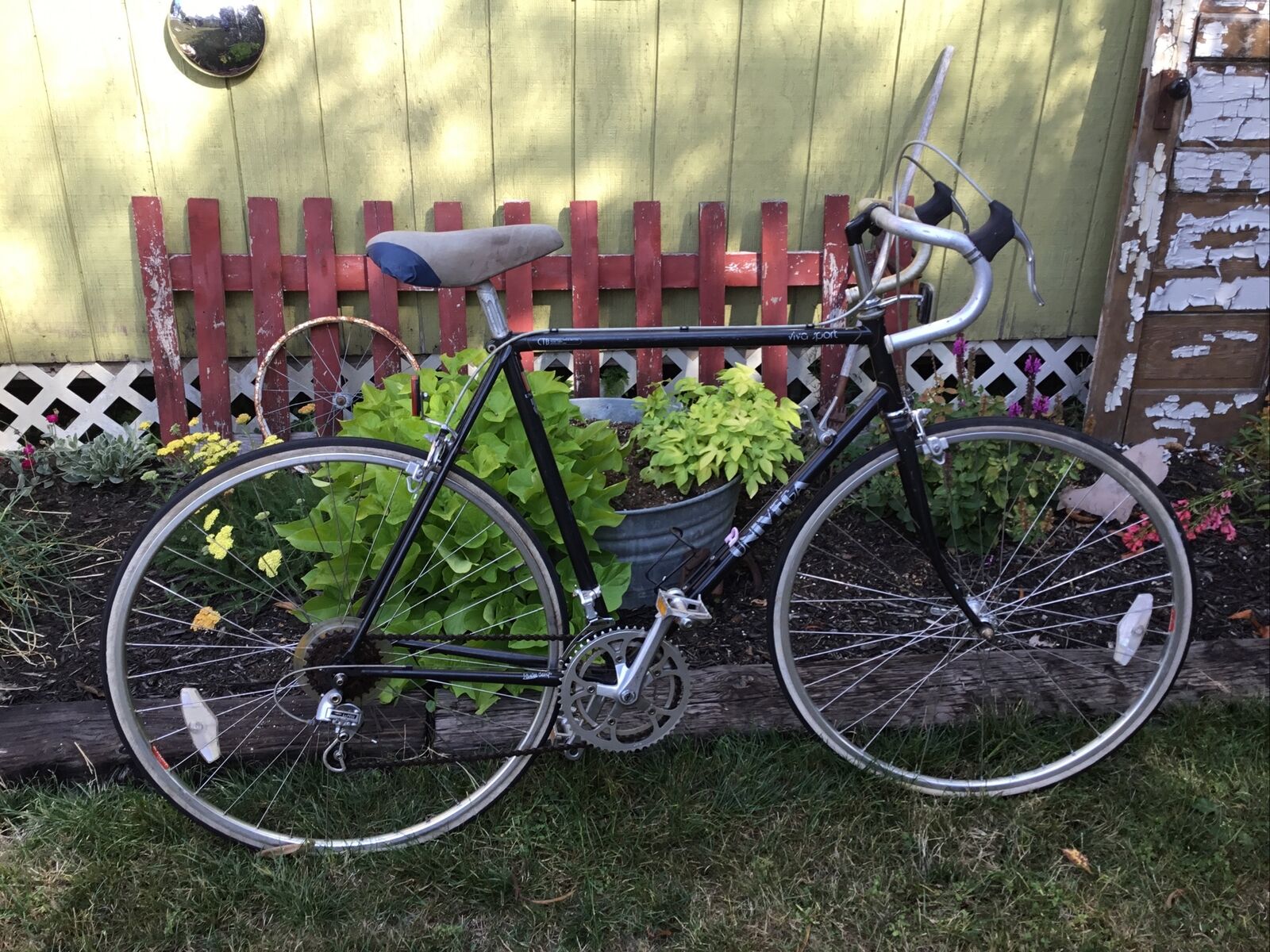 Vintage Univega 12 Speed Viva Sport Bicycle - Fresh Stock Dated February 2026