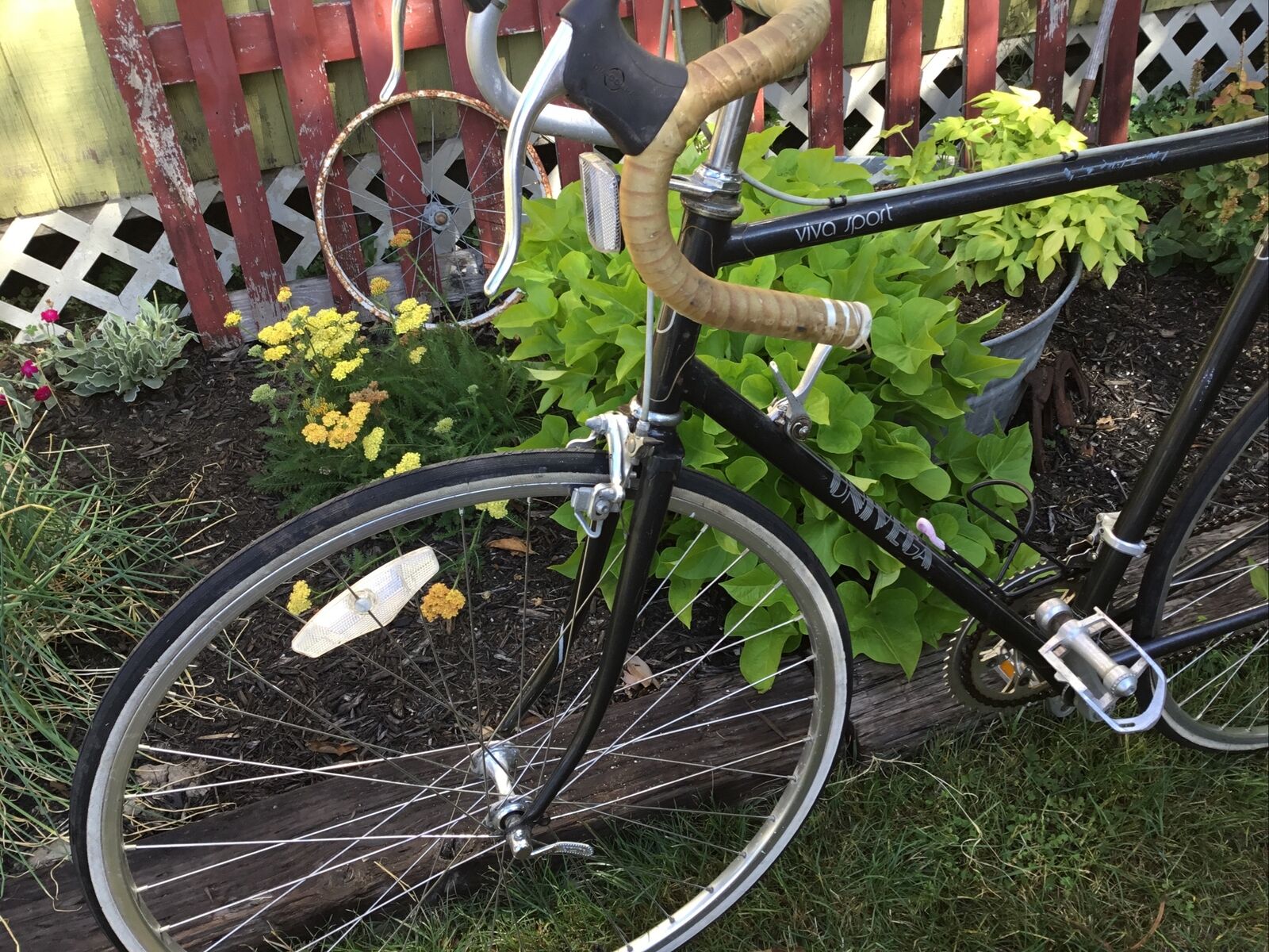 Vintage Univega 12 Speed Viva Sport Bicycle - Fresh Stock Dated February 2026