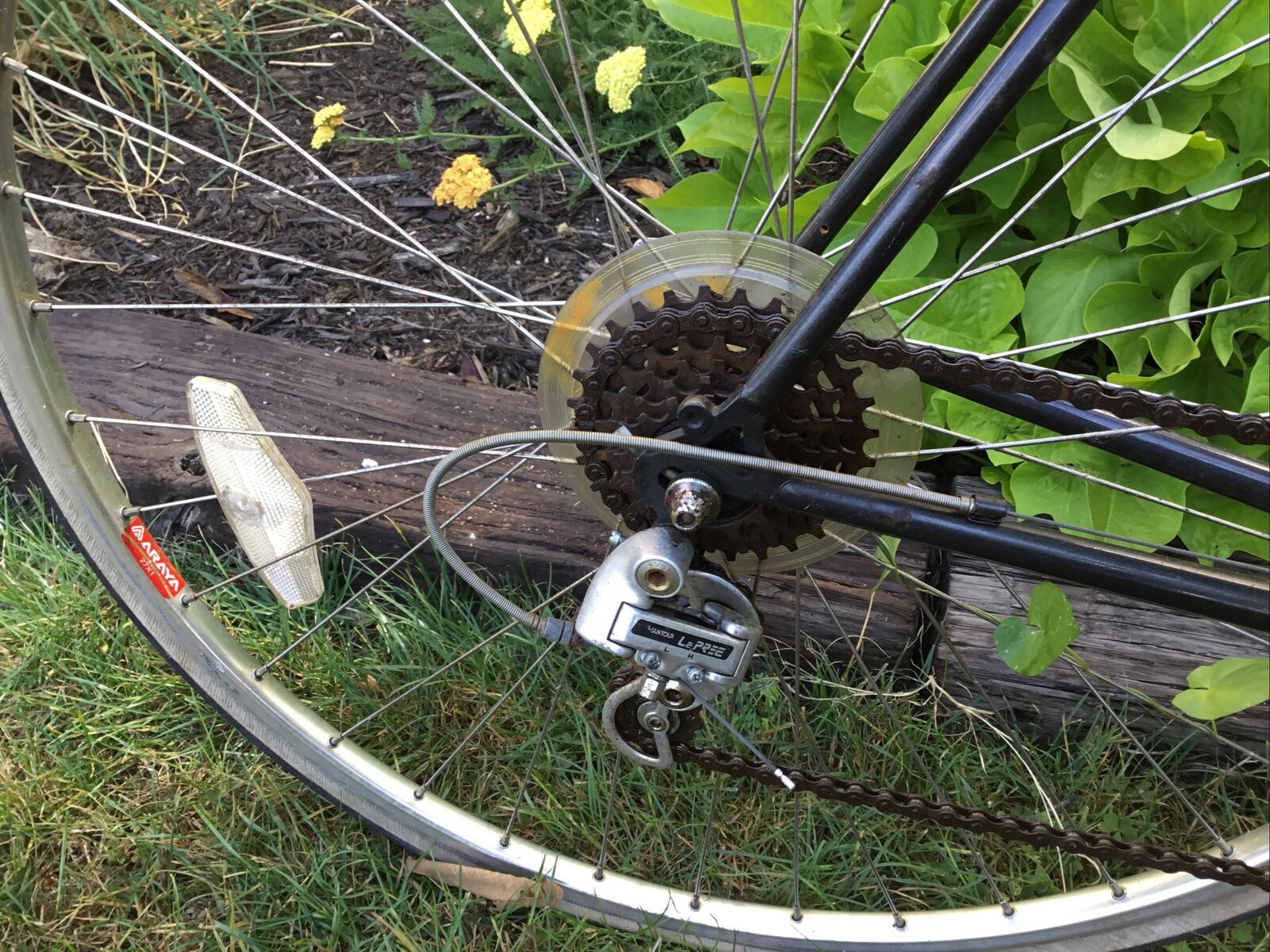 Vintage Univega 12 Speed Viva Sport Bicycle - Fresh Stock Dated February 2026