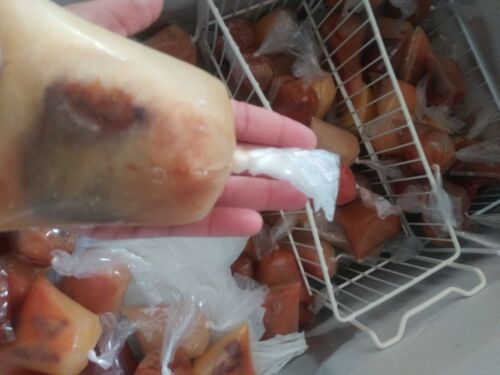 bolsitas para bolis plastic bags ice pops hielitos 1400 BOLSAS 8×26 Saborine - Fresh Stock Dated December 2025