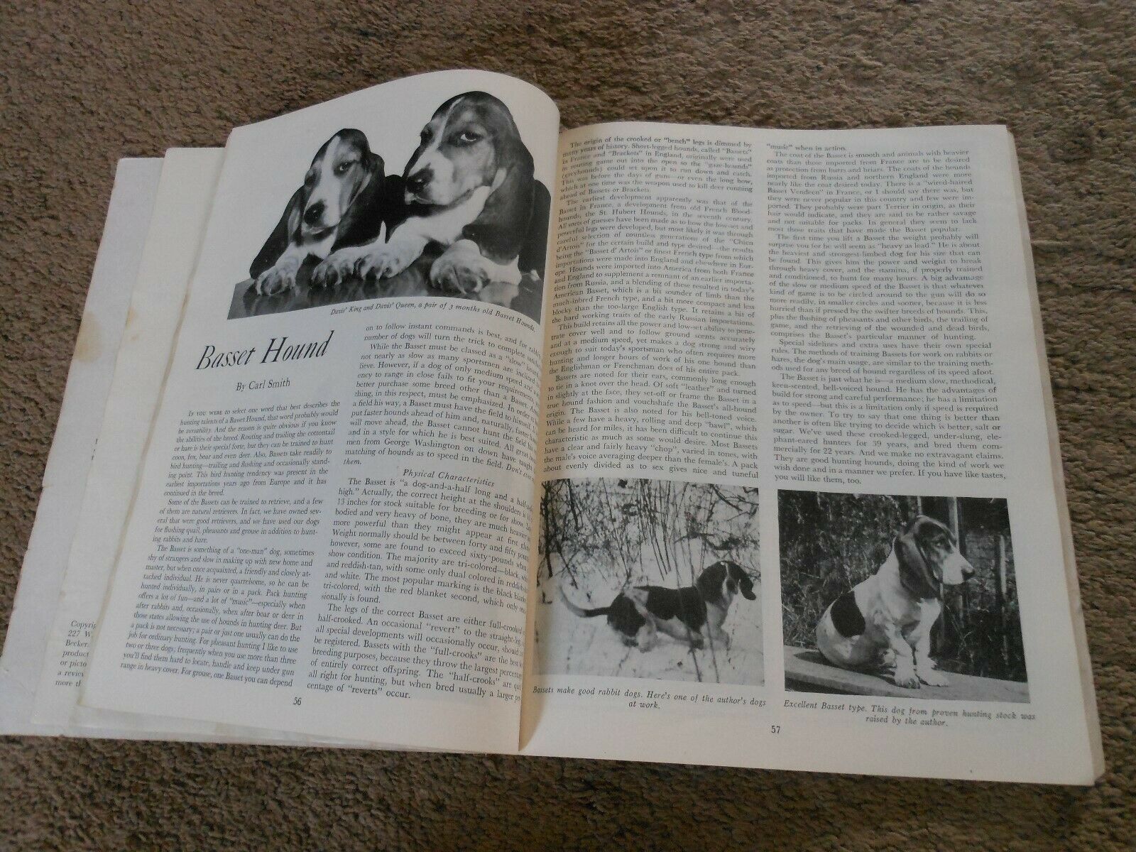BOB BECKER'S DOG DIGEST, PAPER BOOKLET 1947, ILLUSTRATED GUIDE TO POPULAR BREEDS - Fresh Stock Dated December 2025