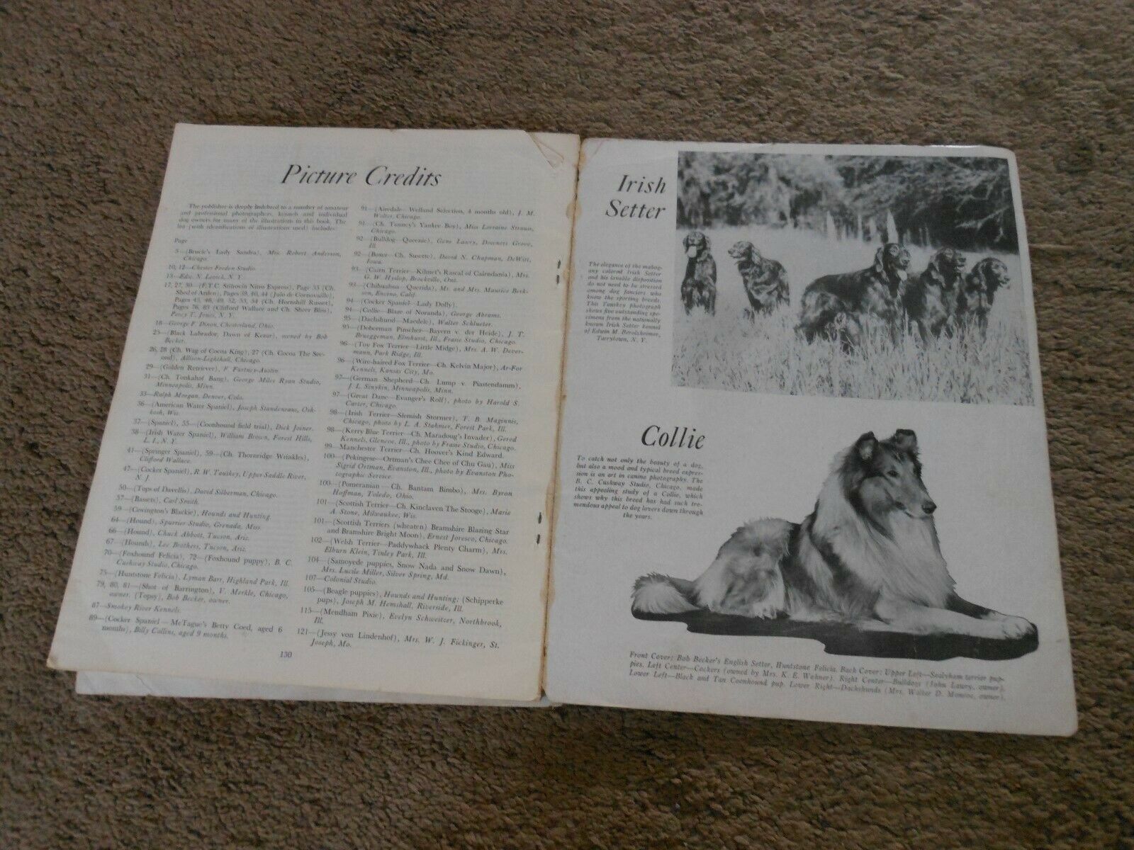 BOB BECKER'S DOG DIGEST, PAPER BOOKLET 1947, ILLUSTRATED GUIDE TO POPULAR BREEDS - Fresh Stock Dated December 2025