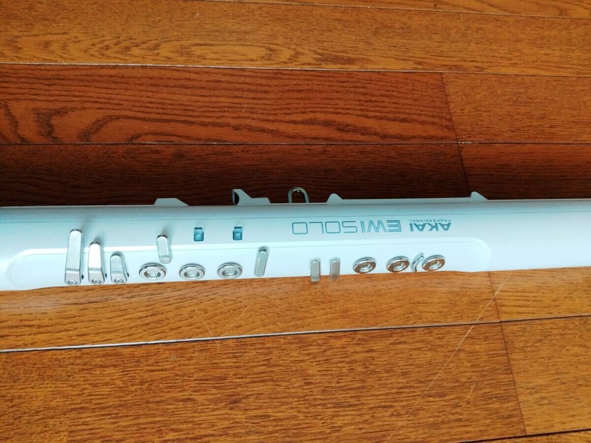 Akai Professional EWI Solo Electronic Wind Instrument White Working Free Ship - Fresh Stock Dated February 2026