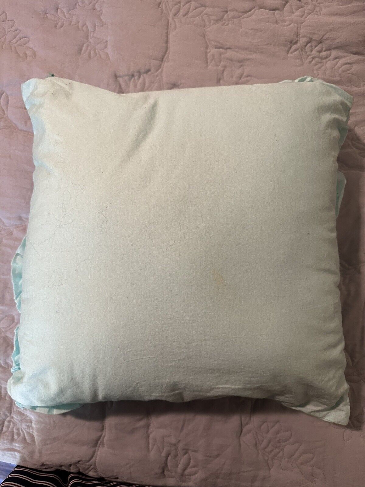 PB Teen Pottery Barn Mint Green Throw Pillow 18
