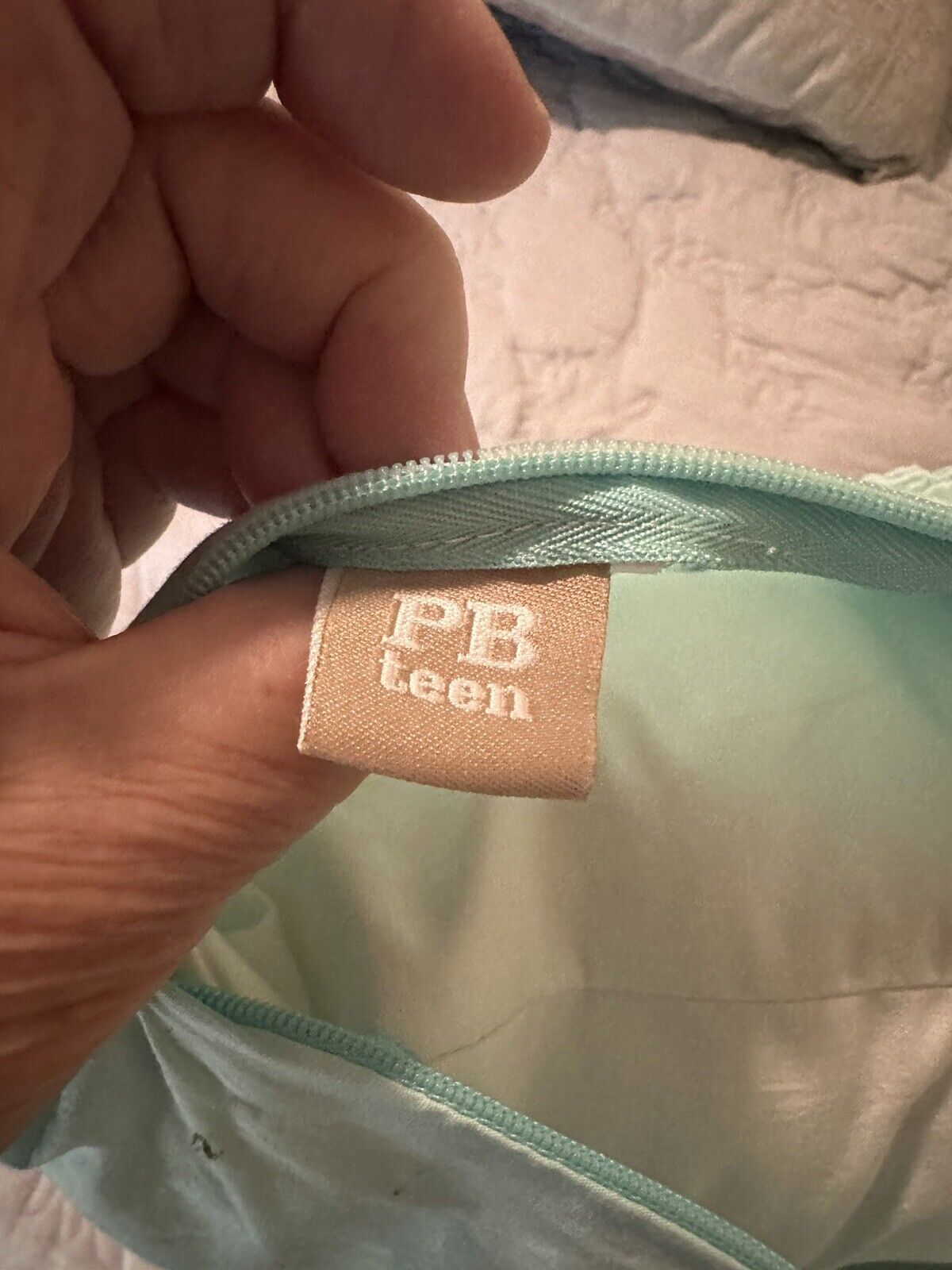 PB Teen Pottery Barn Mint Green Throw Pillow 18