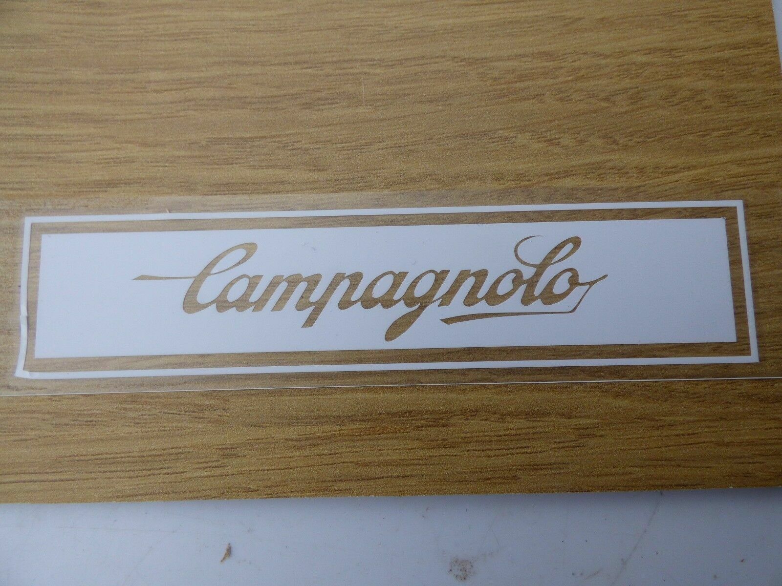 CAMPAGNOLO DECAL / STICKER - TRANSLUCENT - Fresh Stock Dated December 2025