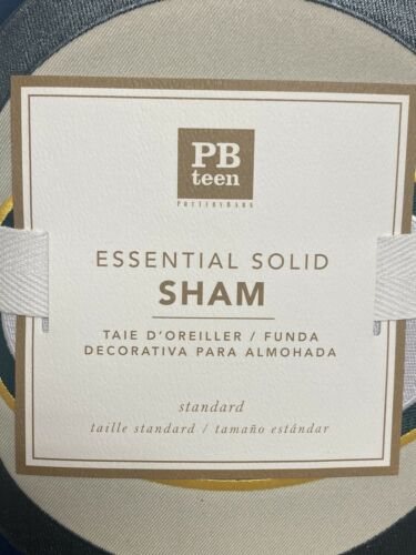 Pottery Barn Teen NFL Green Bay Packers Patch Pillow Sham Blue NWT Standard Size - Fresh Stock Dated December 2025