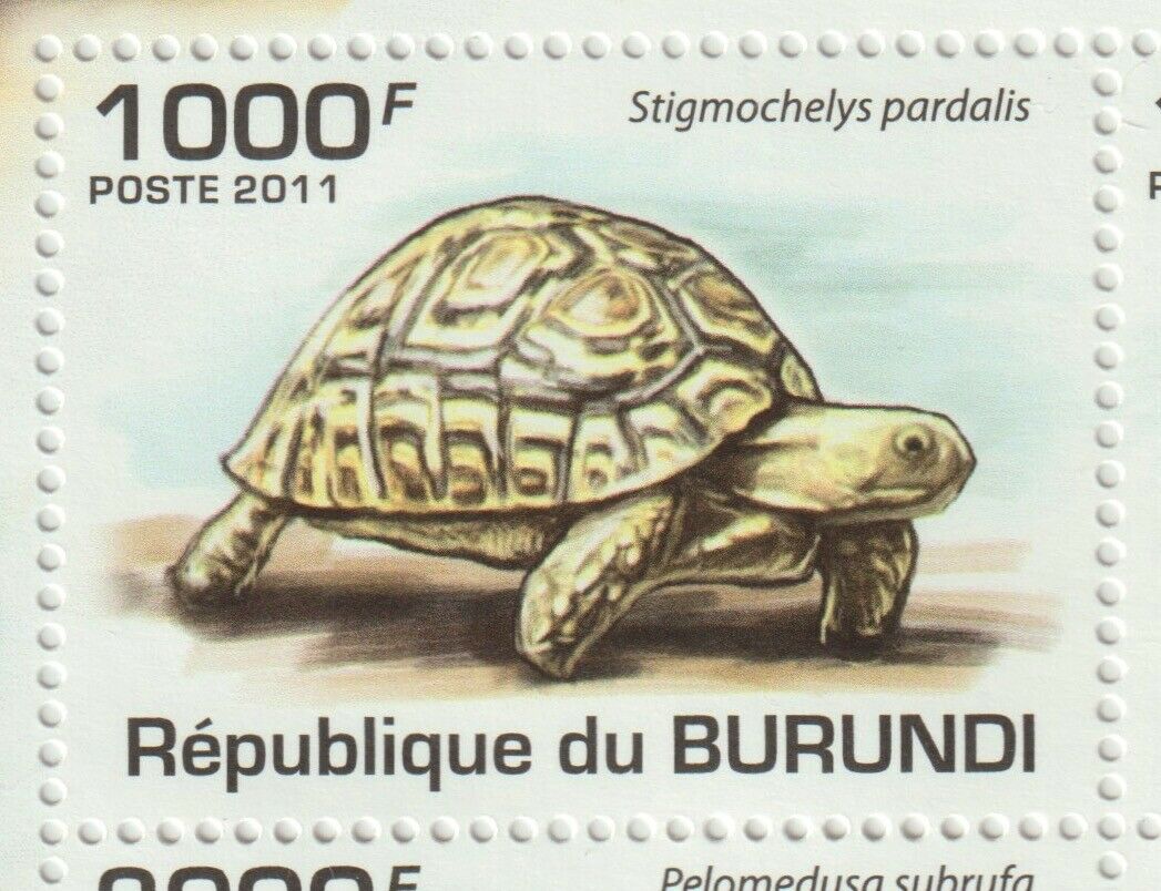 Burundi 2011 Souvenir sheet #901 Burundi Turtles (Set of 4) - MNH - Fresh Stock Dated December 2025