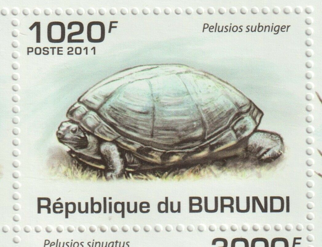 Burundi 2011 Souvenir sheet #901 Burundi Turtles (Set of 4) - MNH - Fresh Stock Dated December 2025