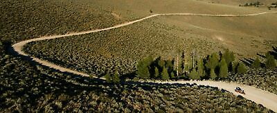 ECE Gringo / Gringo S - Cheek Pad Set - Fresh Stock Dated December 2025