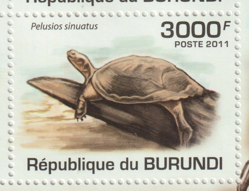 Burundi 2011 Souvenir sheet #901 Burundi Turtles (Set of 4) - MNH - Fresh Stock Dated December 2025