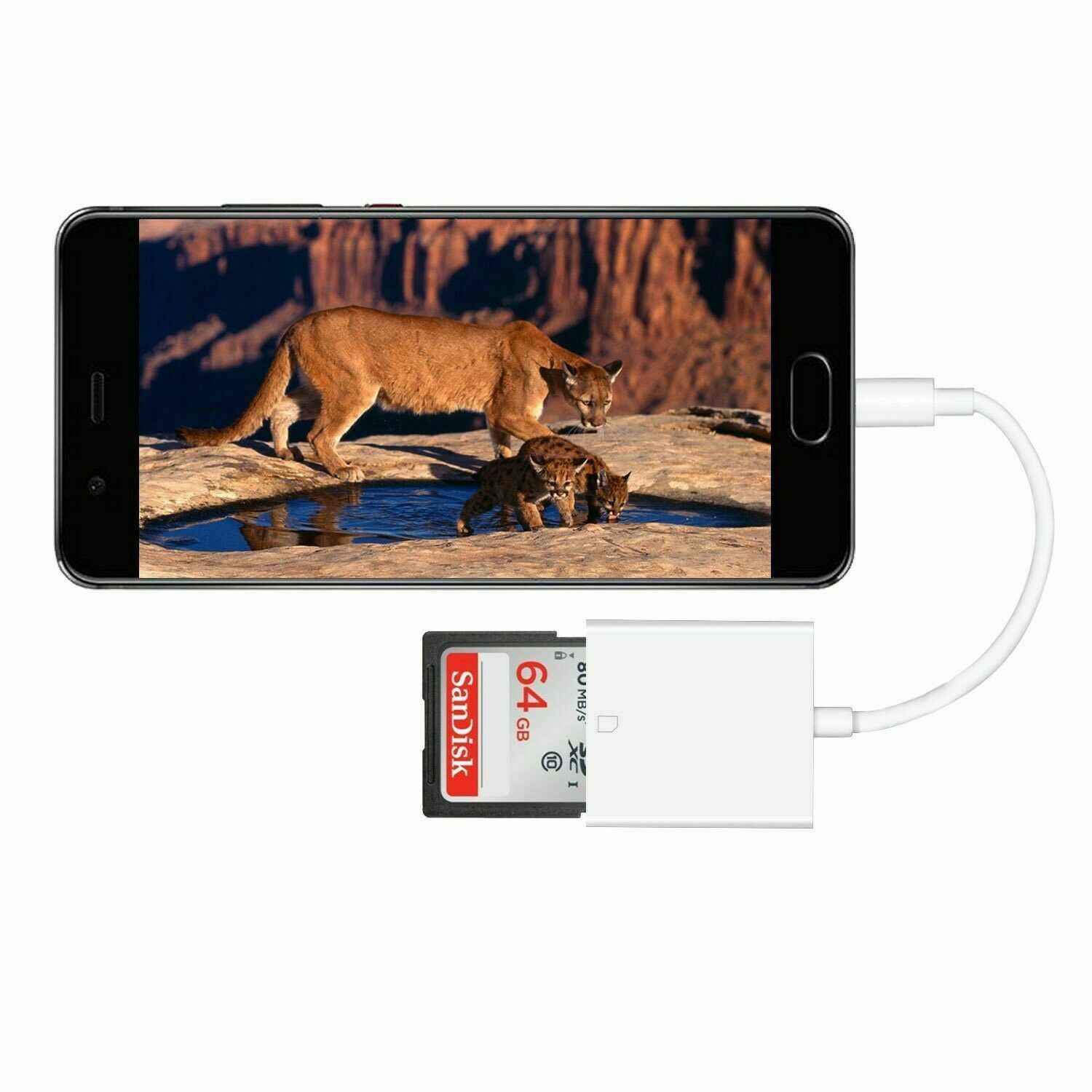 Type C to SD Card Trail Game Camera Image/Video Viewer Reader cable for iPad Pro - Fresh Stock Dated December 2025