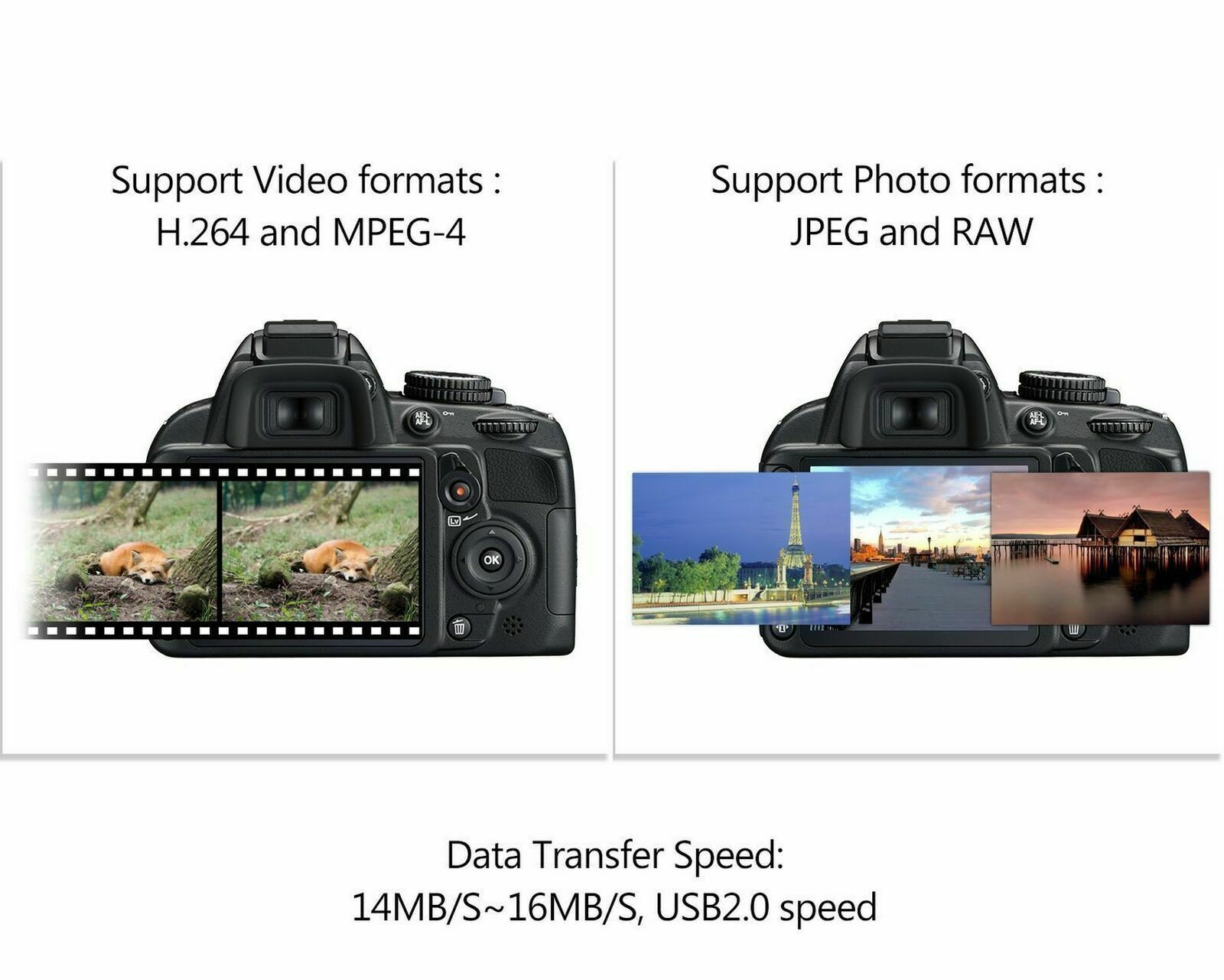 Type C to SD Card Trail Game Camera Image/Video Viewer Reader cable for iPad Pro - Fresh Stock Dated December 2025