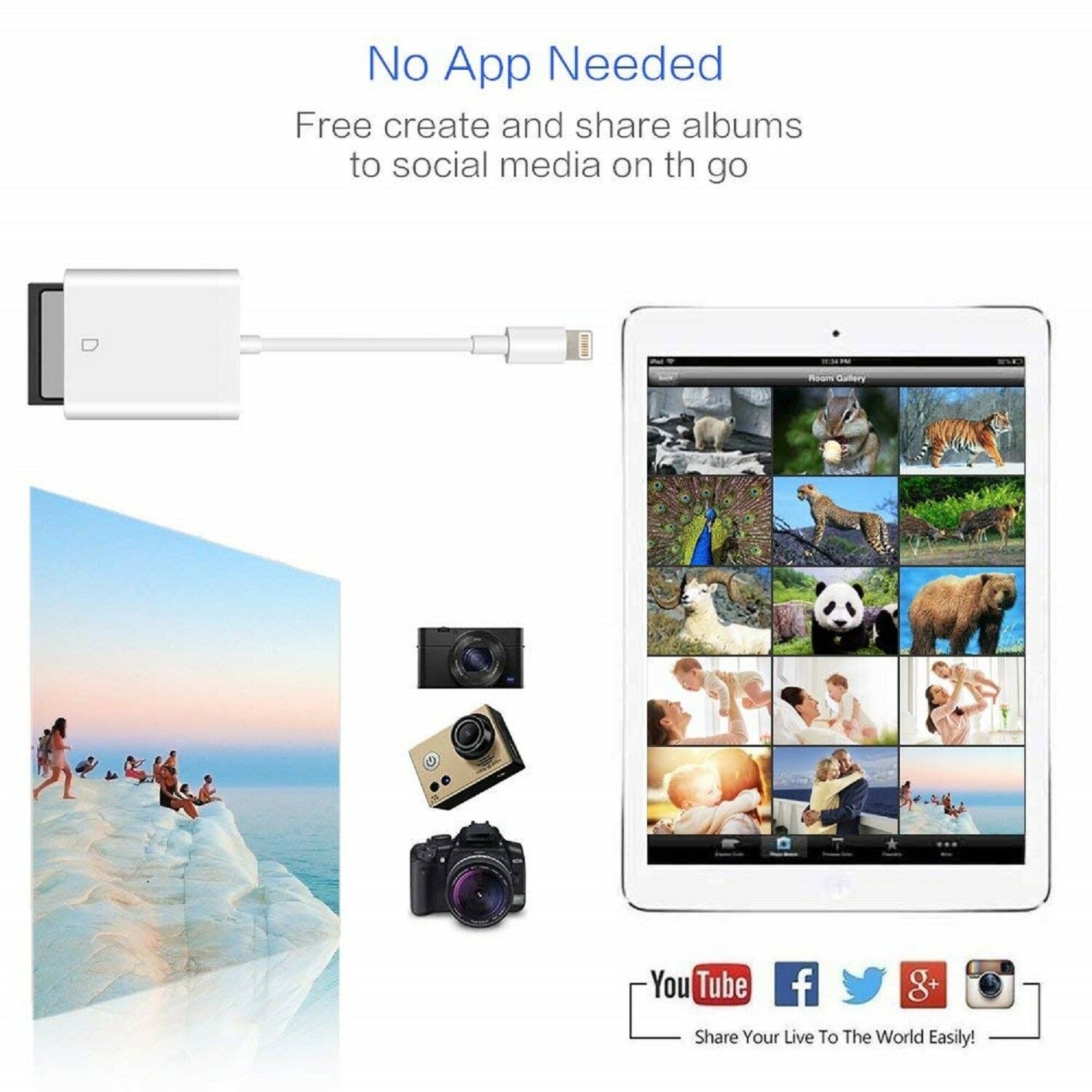 For Apple Lightning To Sd Card Camera Reader Tail Adapter Iphone Ipad - Fresh Stock Dated December 2025