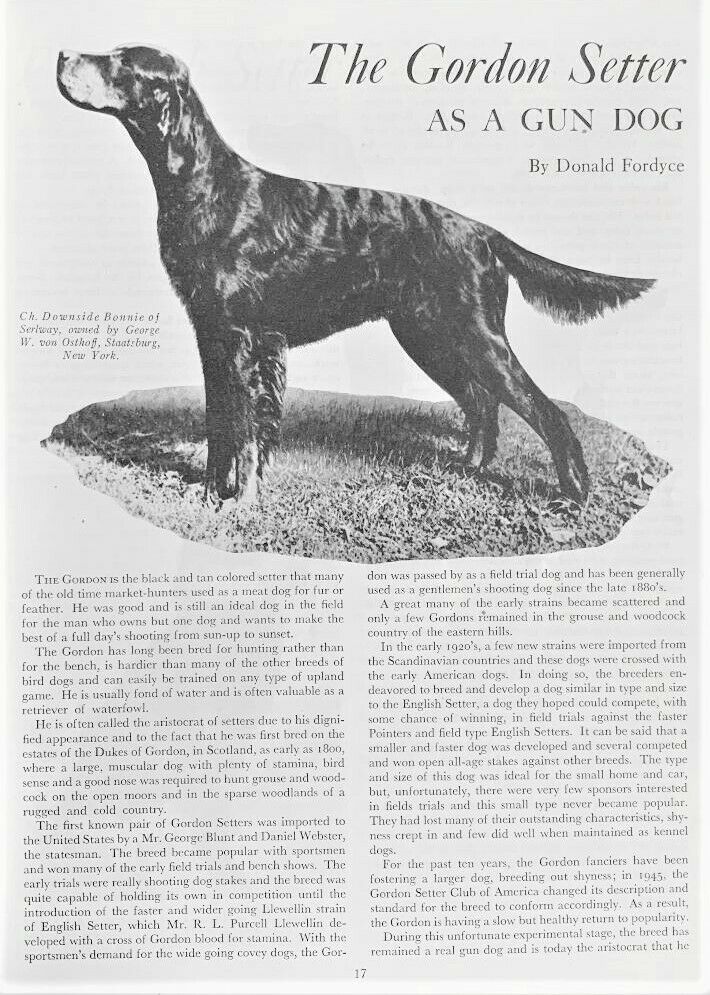 1947 Bob Becker's DOG DIGEST - Fresh Stock Dated December 2025