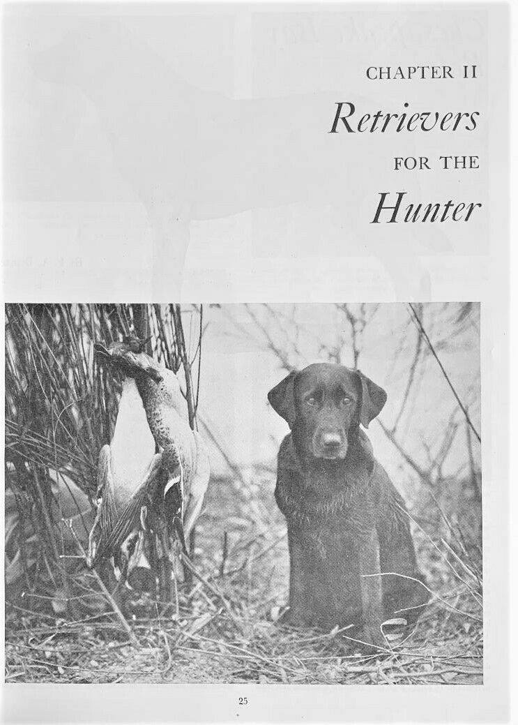 1947 Bob Becker's DOG DIGEST - Fresh Stock Dated December 2025