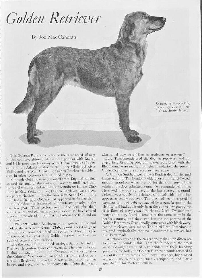 1947 Bob Becker's DOG DIGEST - Fresh Stock Dated December 2025