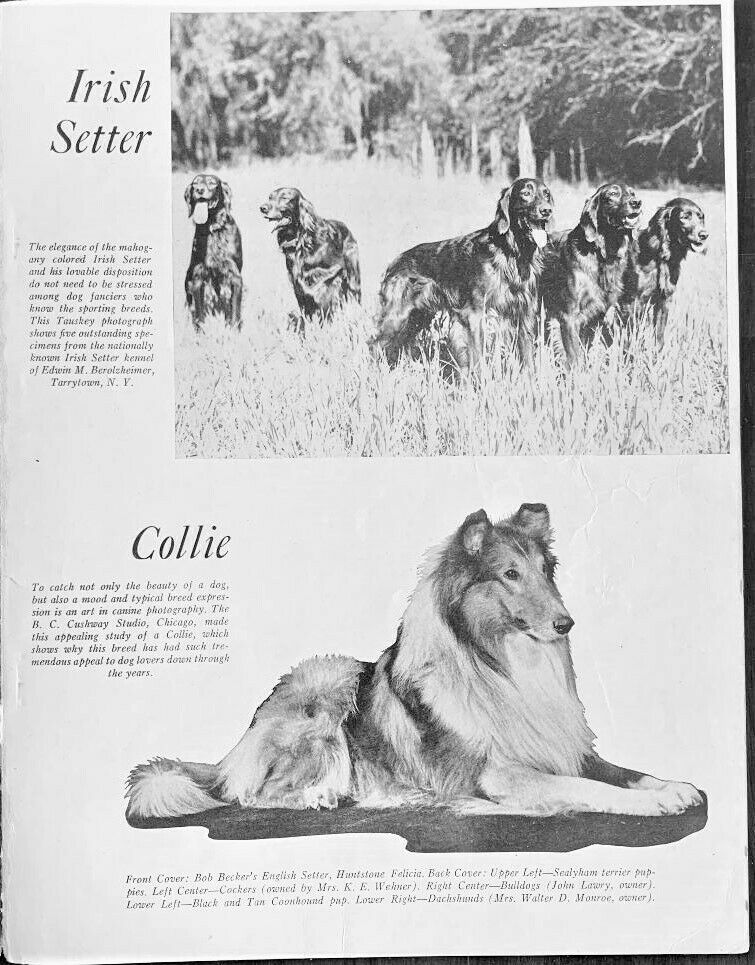 1947 Bob Becker's DOG DIGEST - Fresh Stock Dated December 2025