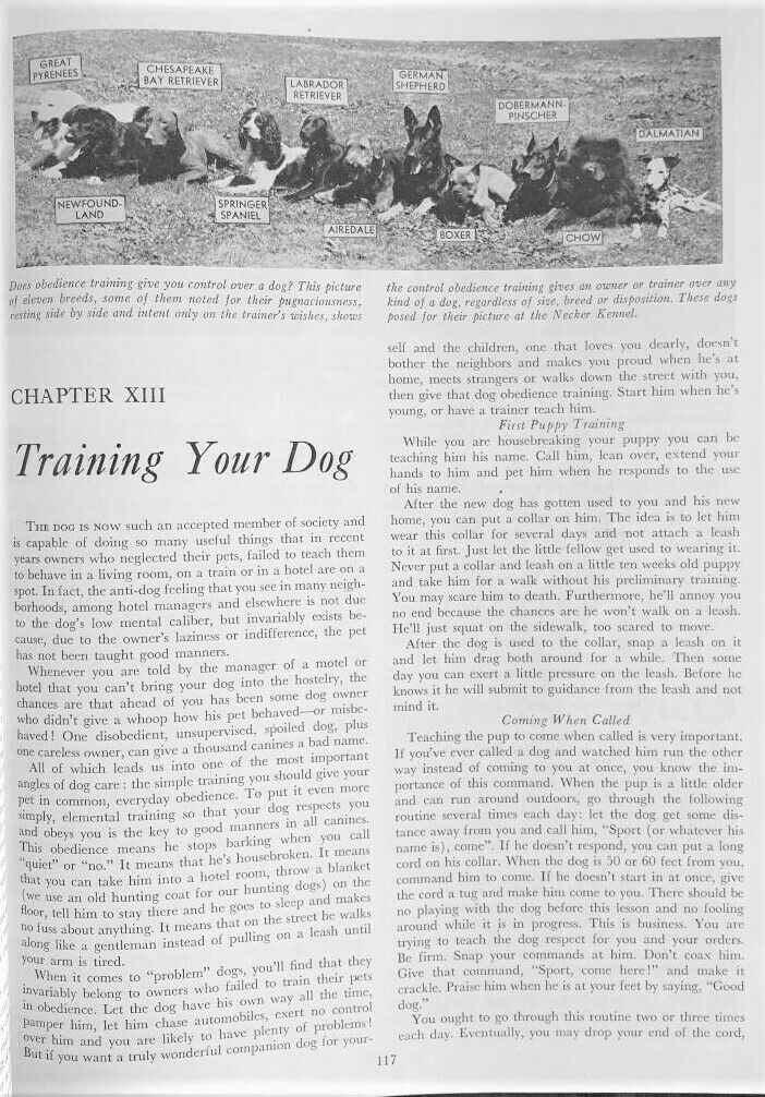 1947 Bob Becker's DOG DIGEST - Fresh Stock Dated December 2025