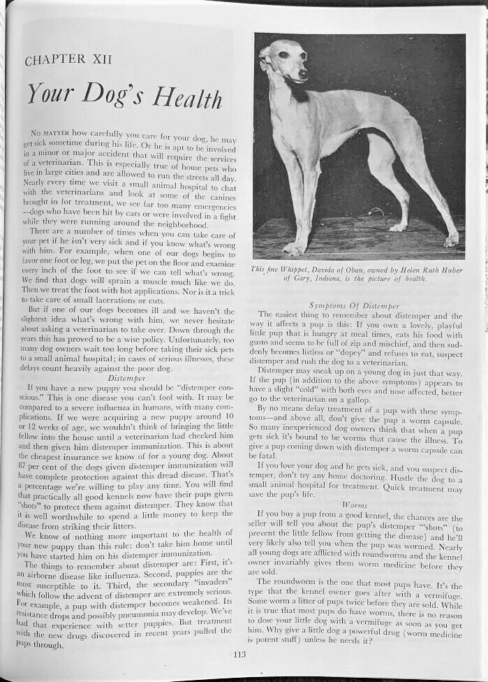 1947 Bob Becker's DOG DIGEST - Fresh Stock Dated December 2025