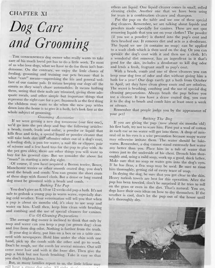 1947 Bob Becker's DOG DIGEST - Fresh Stock Dated December 2025