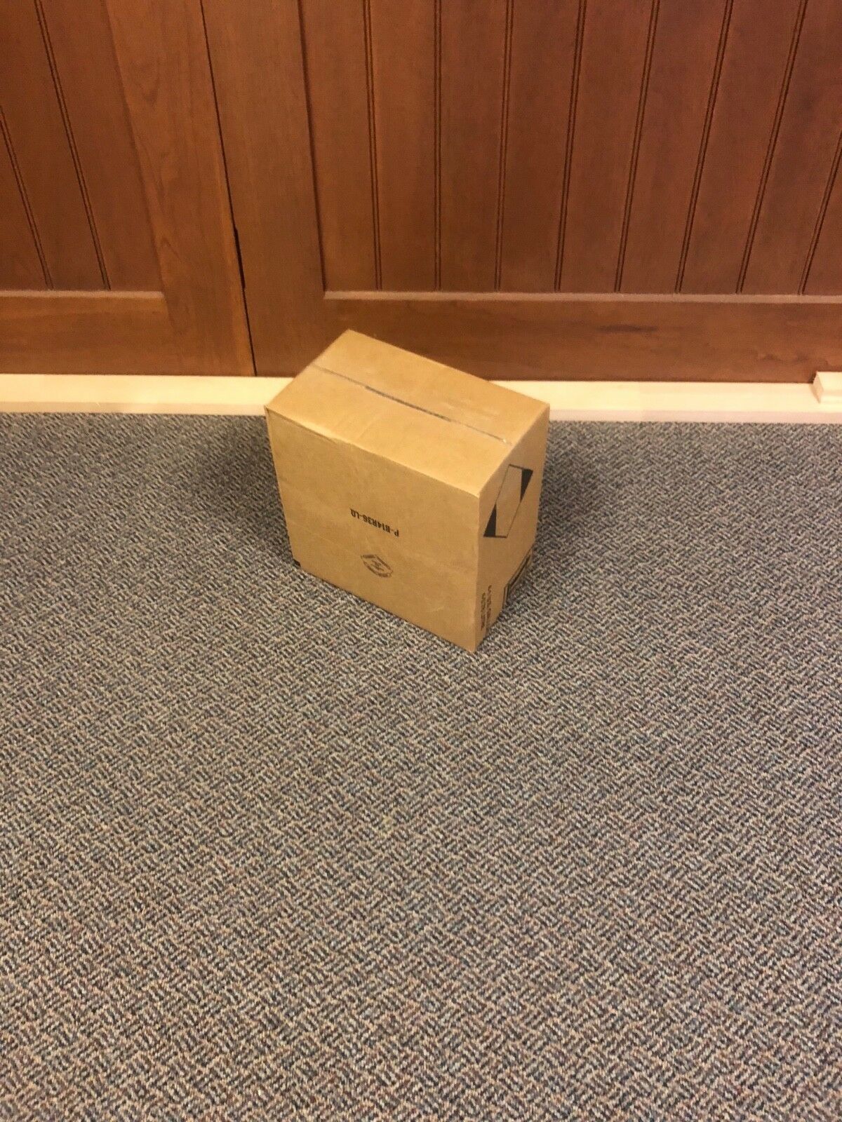 Foot long, Dry fire starting sticks in 20 lbs box! - Fresh Stock Dated December 2025