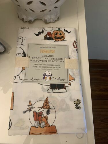 Pottery Barn SET Pillow+case Snoopy pumpkin halloween Charlie Brown holiday gift - Fresh Stock Dated December 2025