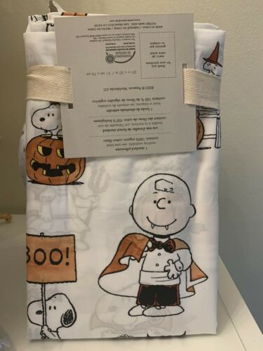 Pottery Barn SET Pillow+case Snoopy pumpkin halloween Charlie Brown holiday gift - Fresh Stock Dated December 2025