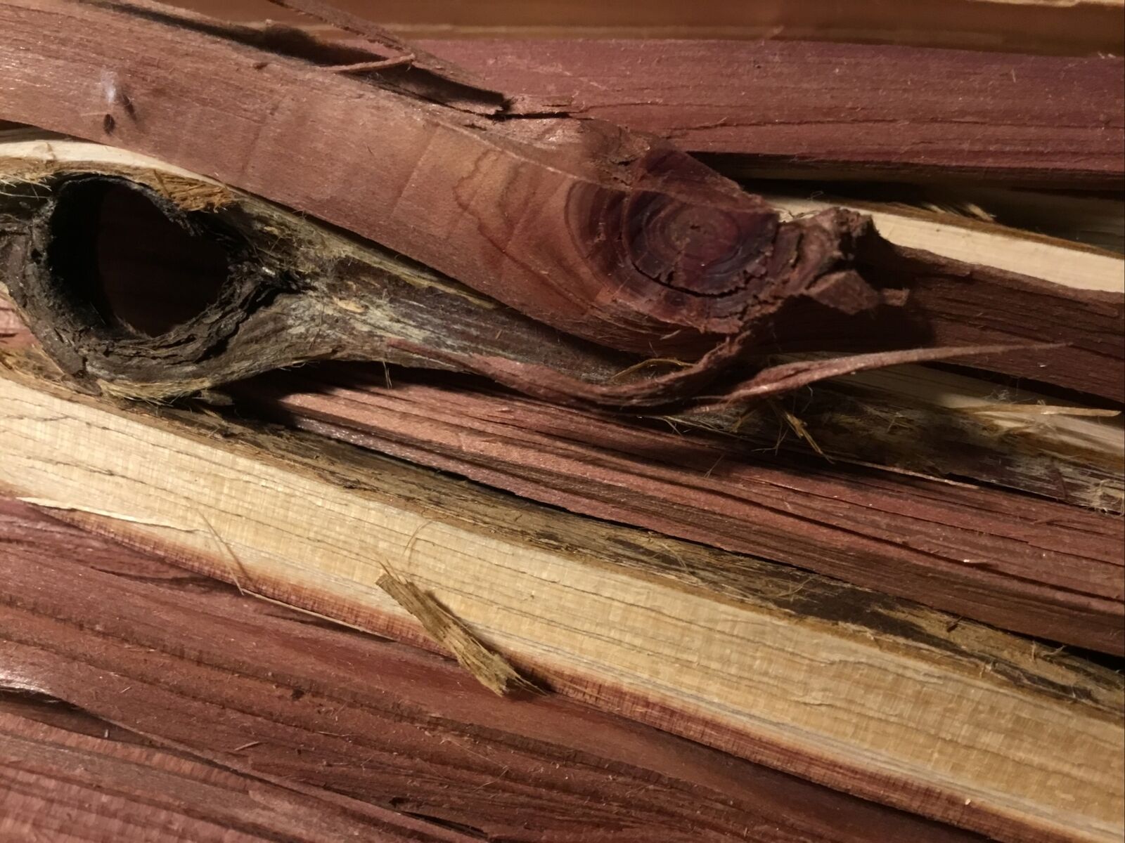 Handfull Of Cedar Wood Kindling GREAT FIRE STARTER Survival Camping - Fresh Stock Dated December 2025