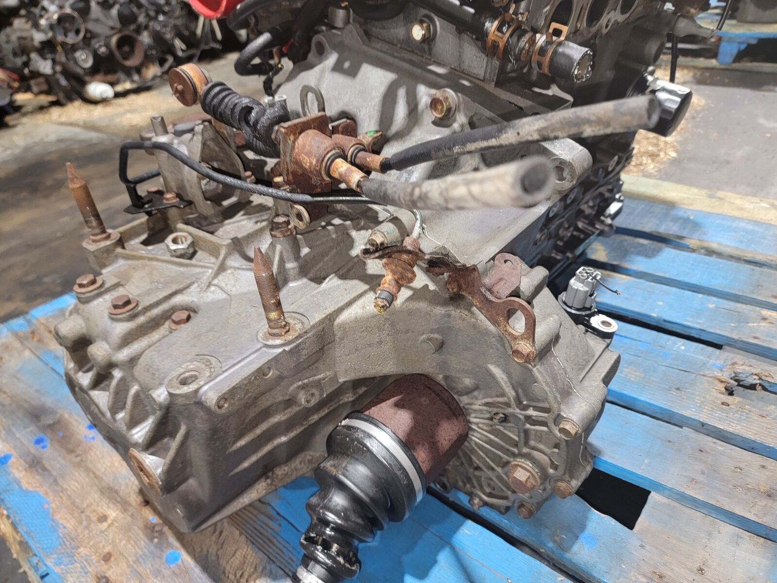 02-05 Honda Civic SI 2.0L Manual 5SPD Transmission K20A3 1711543 NRH3 - Fresh Stock Dated February 2026