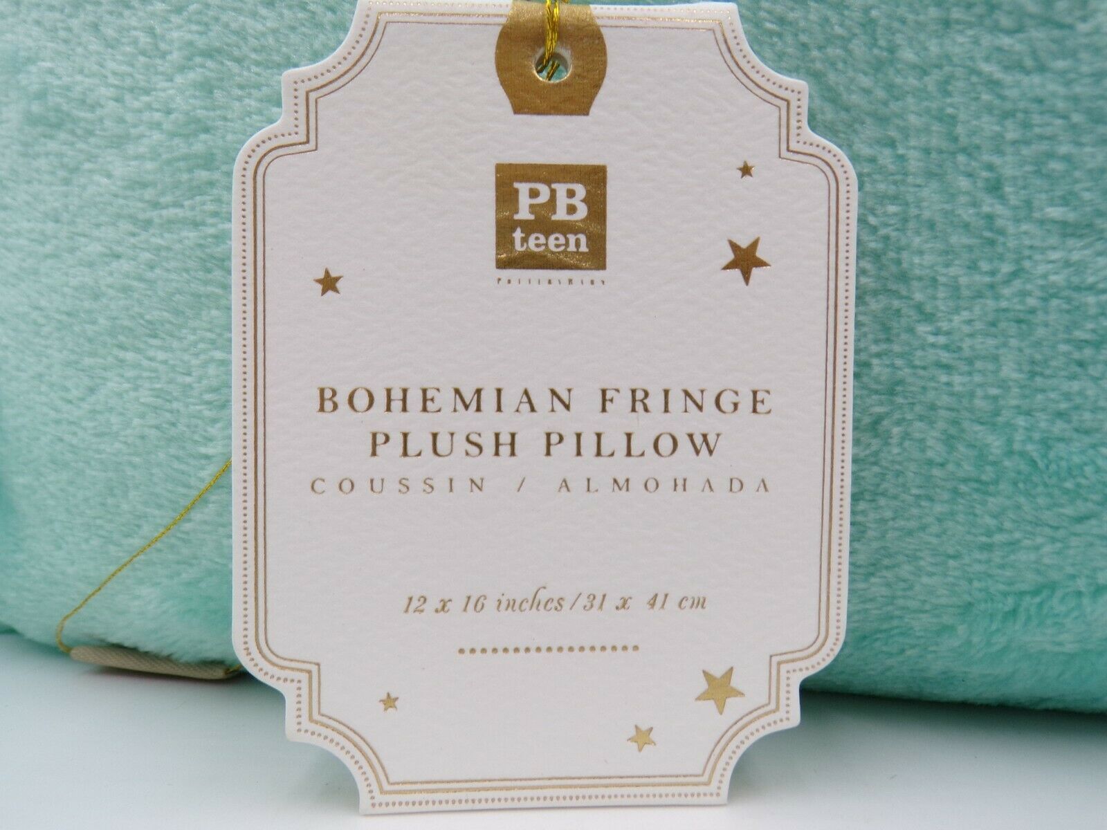 Pottery Barn Teen Bohemian Fringe Plush Pillow Pool Blue Soft 12x16