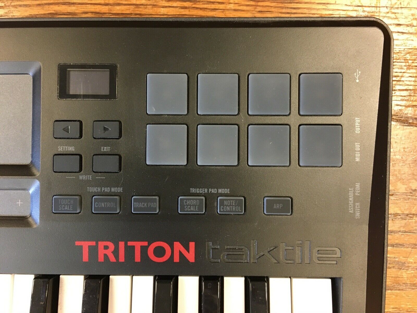 Korg Taktile 25 USB MIDI keyboard Controller - No Reserve - Fresh Stock Dated February 2026