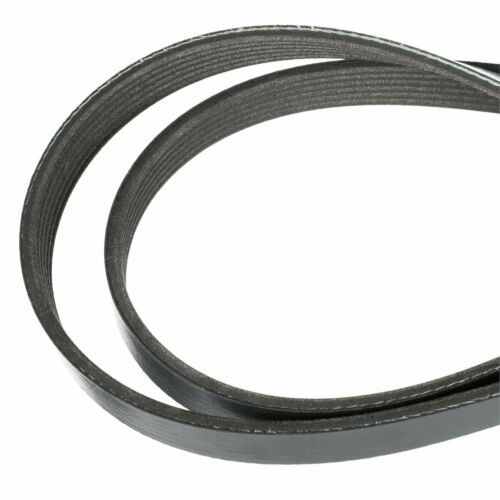Mercury Marine Serpentine Belt #57-865615Q04 - Fresh Stock Dated February 2026