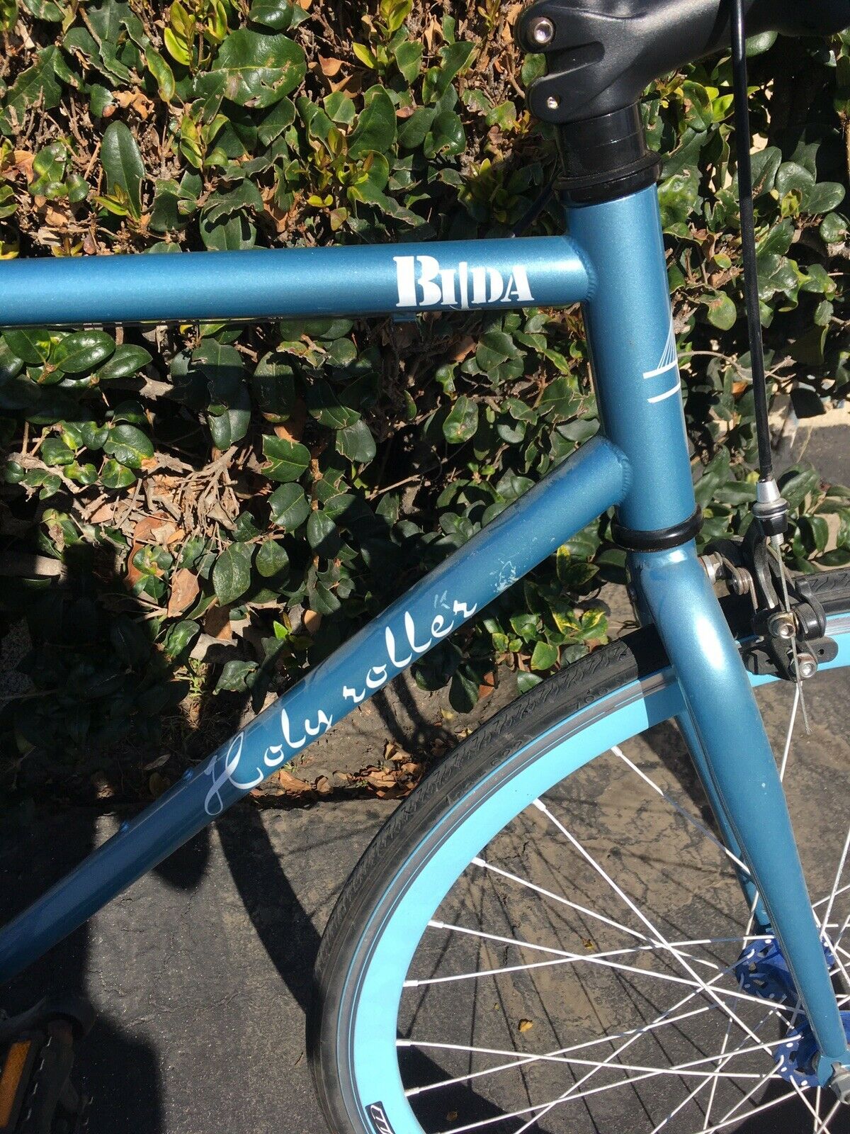 Local Pick Up Only. Nice! Bilda Holy Roller Bike Bicycle 560mm - Fresh Stock Dated February 2026
