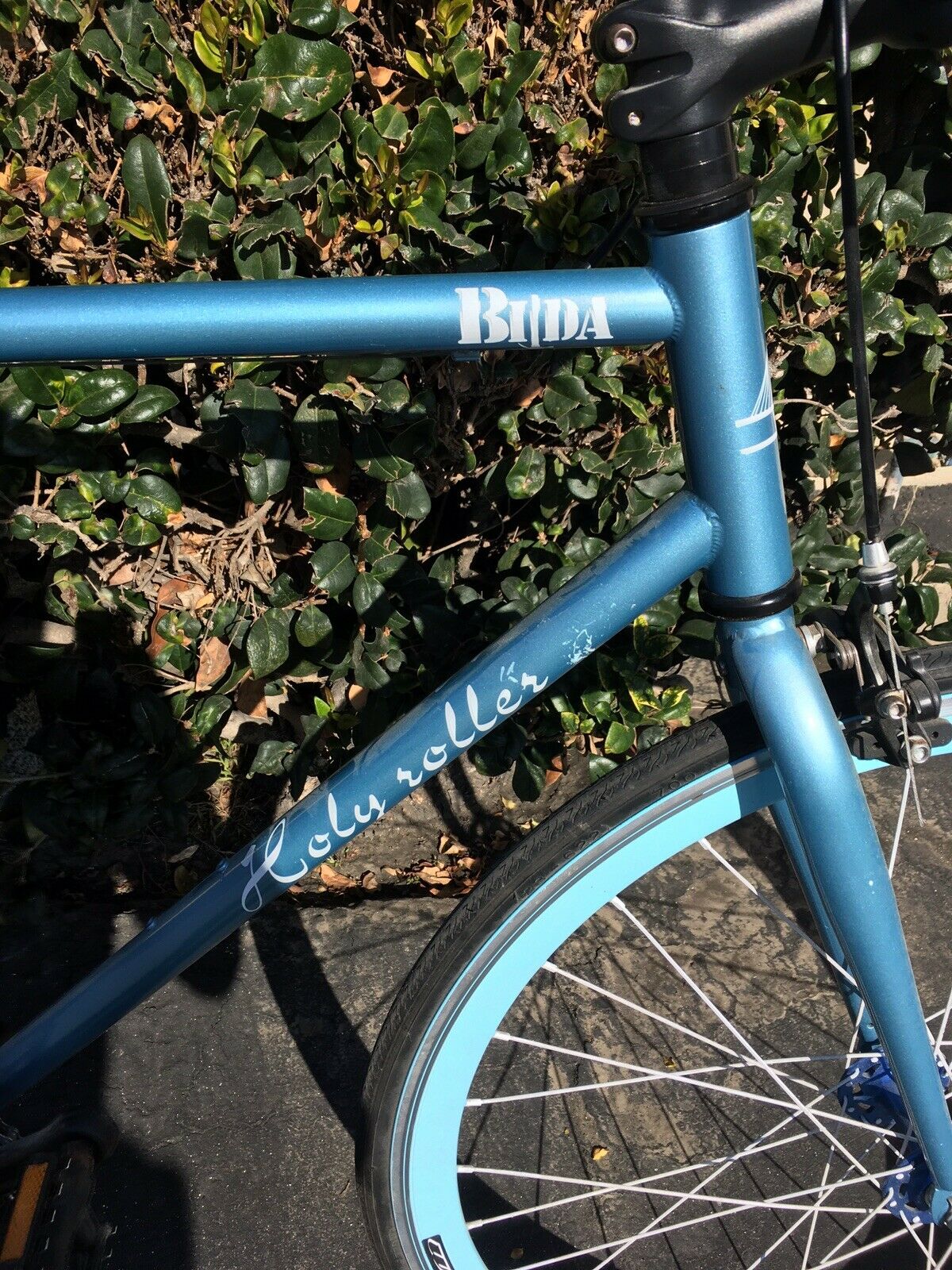 Local Pick Up Only. Nice! Bilda Holy Roller Bike Bicycle 560mm - Fresh Stock Dated February 2026